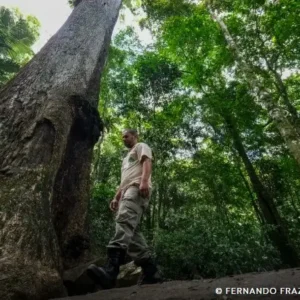 Conabio define novas metas para conservação da biodiversidade até 2030 conabio