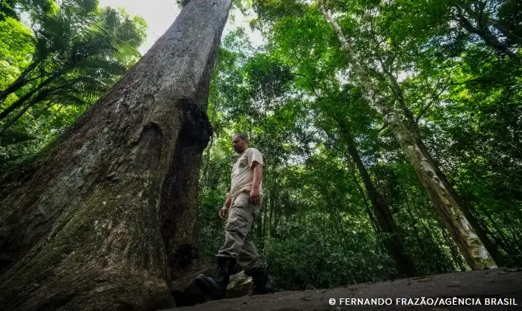 Conabio define novas metas para conservação da biodiversidade até 2030 3 conabio