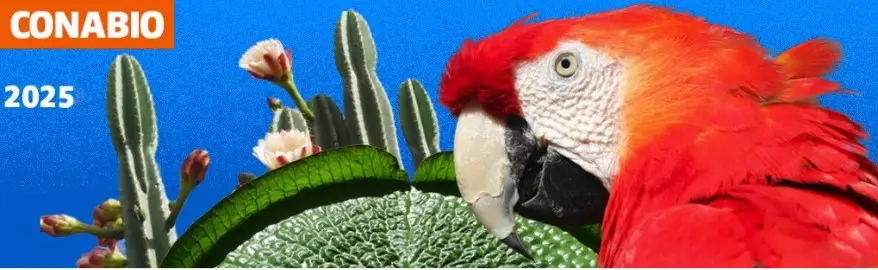 Screenshot-2025-02-20-192159 Conabio define novas metas para conservação da biodiversidade até 2030