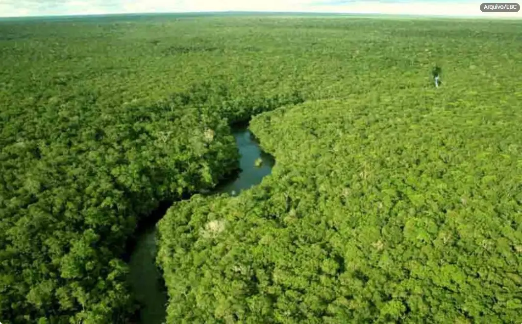 Screenshot-2025-02-20-193022 Conabio define novas metas para conservação da biodiversidade até 2030