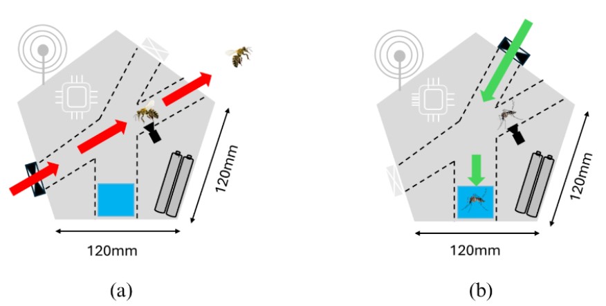 Screenshot 2025 02 21 123408