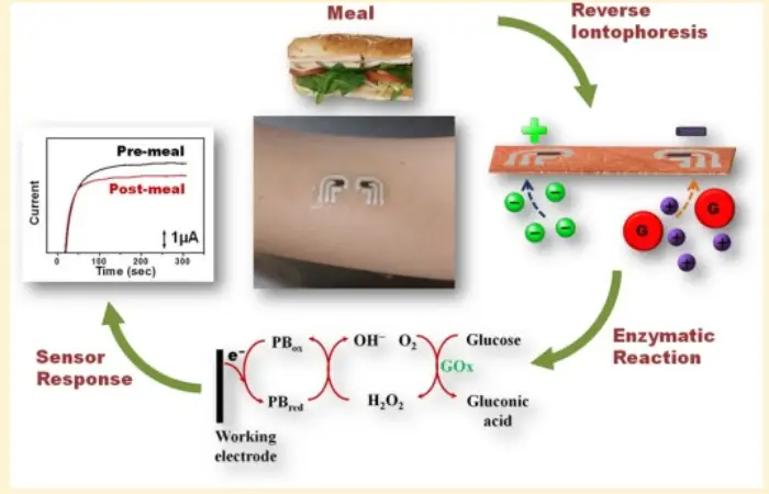 Screenshot-2025-02-24-162746 Tatuagem digital revoluciona monitoramento de glicose sem agulhas