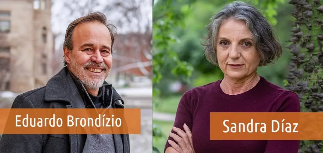 Screenshot 2025 02 24 200226