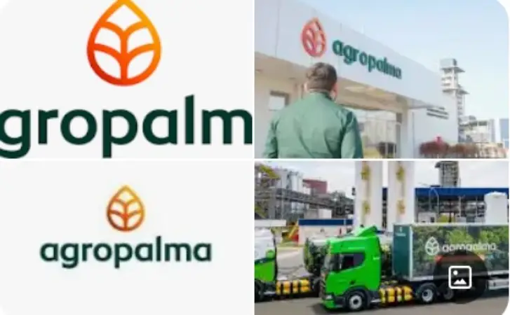 Screenshot-2025-02-25-205352 Agropalma reforça compromisso com a biodiversidade e impulsiona pesquisas na Amazônia