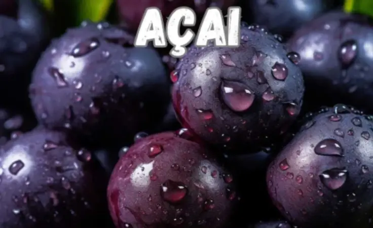 Antioxidantes contra microplásticos, nova esperança para a saúde reprodutiva 2 Screenshot 2025 02 26 114105