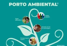 Projeto Porto Ambiental inicia nova etapa de ações sustentáveis em Belém porto