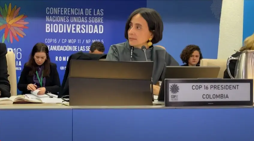 Screenshot-2025-02-26-191803 COP16 da Biodiversidade retoma negociações em Roma com foco em financiamento