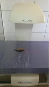 Screenshot 2025 02 28 163401