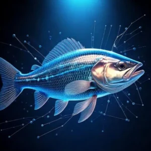 Tecnologia DXA revoluciona análise corporal de peixes vivos DXA