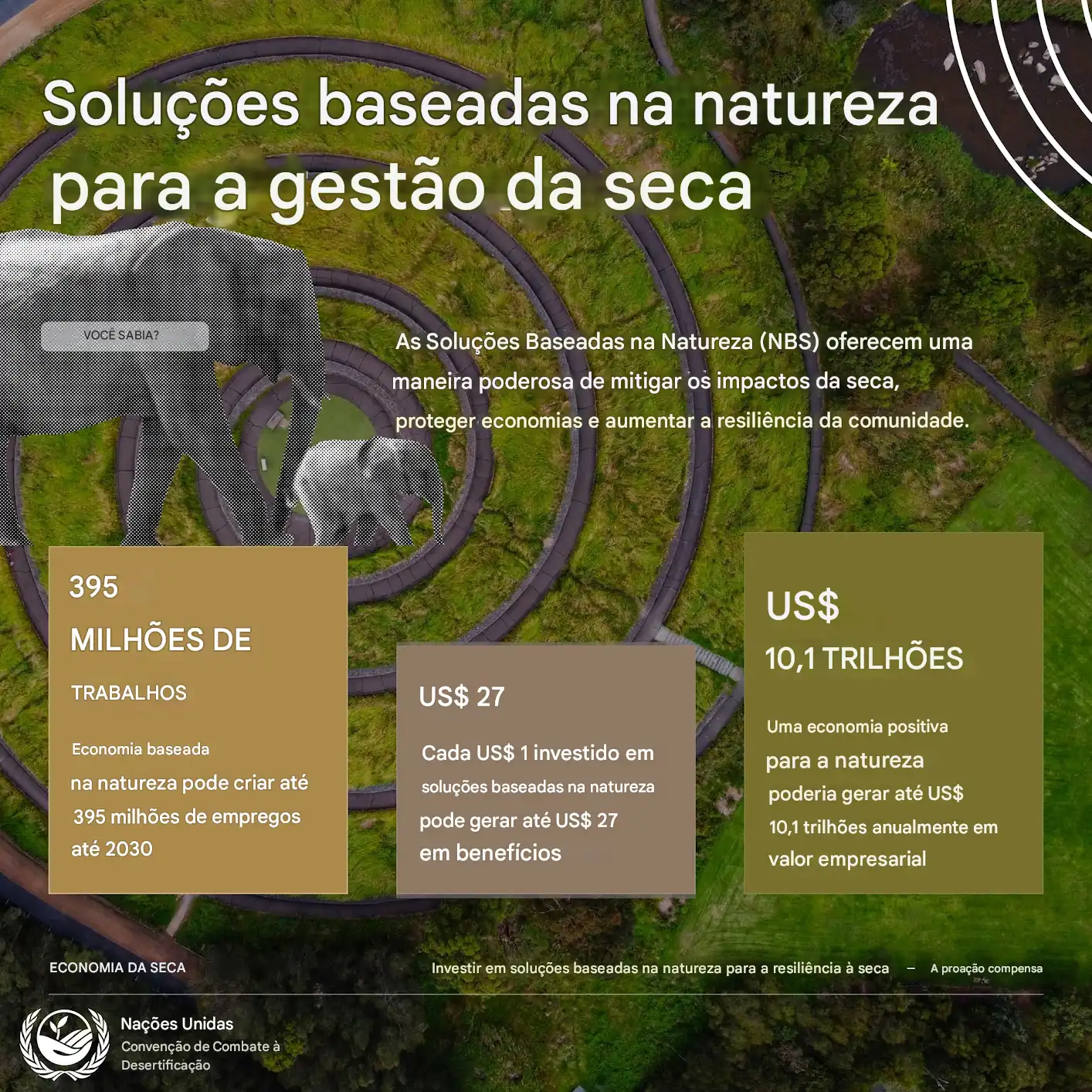 Solucoes Baseadas na Natureza para a gestao da Seca copiar