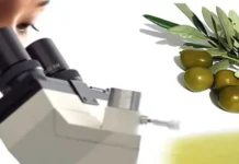 Smartphones como aliados na avaliação sustentável da qualidade do azeite de oliva azeite