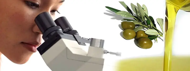 Smartphones como aliados na avaliação sustentável da qualidade do azeite de oliva 3 azeite