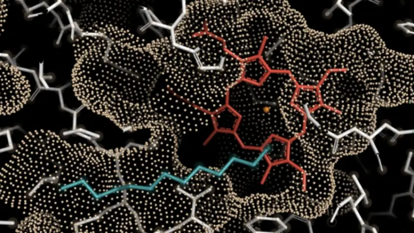 biocatalisador combustivel aviacao 848x477 1