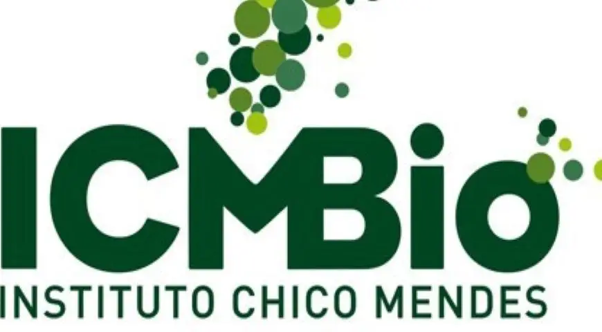 blog_0780-icmbio-870x480-1 Justiça prorroga atuação da Força Nacional em ações de proteção ambiental