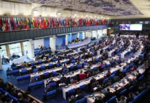 COP16 da Biodiversidade retoma negociações em Roma com foco em financiamento cop