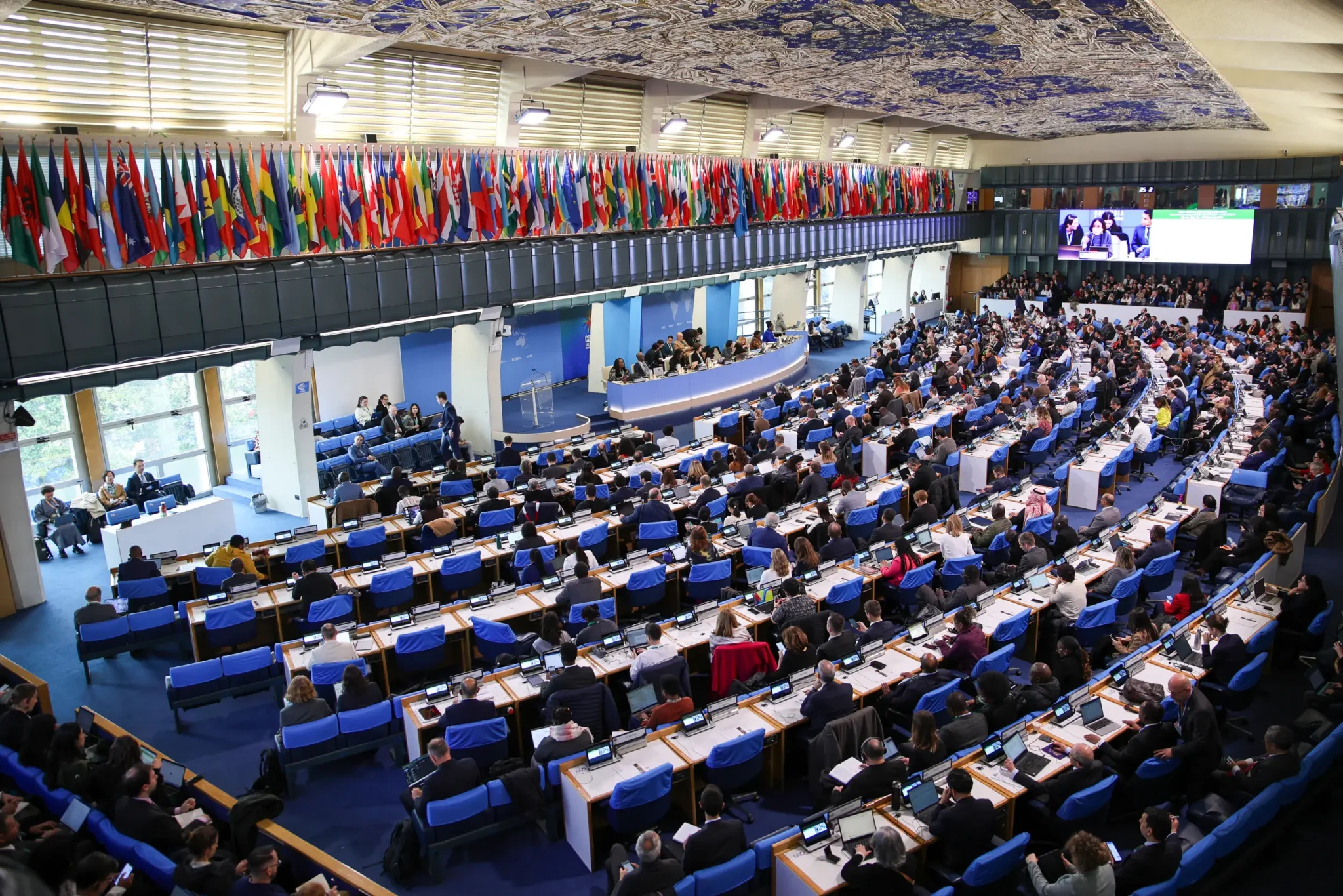 COP16 da Biodiversidade retoma negociações em Roma com foco em financiamento