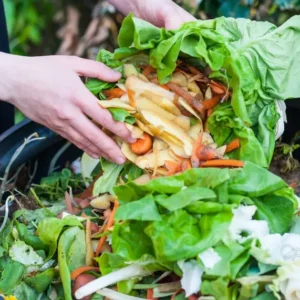 Governo abre consulta sobre plano para resíduos orgânicos urbanos consulta