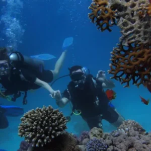 ONU abre inscrições para Programa de Bolsas de Estudos sobre Oceanos e Direito do Mar ONU