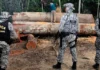 Justiça prorroga atuação da Força Nacional em ações de proteção ambiental força