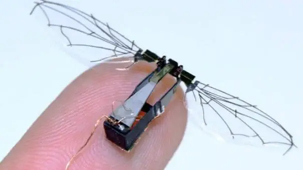 i297507-2 Roboabelhas revolucionam polinização agrícola com eficiência surpreendente