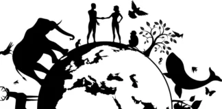 É preciso dar mais ênfase ao componente ecológico da One Health, pois consideramos os problemas de perda de biodiversidade, extremos climáticos, fragmentação de habitat e doenças emergentes