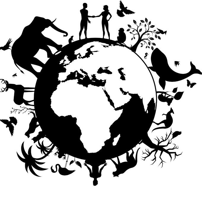 “Uma Saúde” precisa de ecologia 13 É preciso dar mais ênfase ao componente ecológico da One Health, pois consideramos os problemas de perda de biodiversidade, extremos climáticos, fragmentação de habitat e doenças emergentes