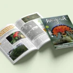 Edição 138 da Revista Amazônia: Fevereiro 2025 – O Futuro da Floresta e do Planeta em Jogo Revista Amazônia