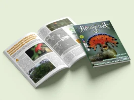 Revista Amazônia