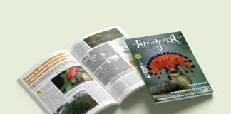 Revista Amazônia