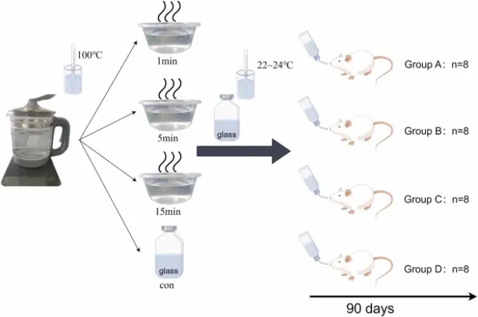 1-s2.0-S0147651324014593-gr1 Comer em embalagens plásticas de delivery pode aumentar risco de insuficiência cardíaca, alerta estudo