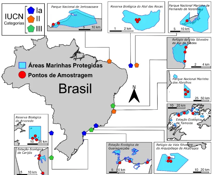 10areas Microplásticos contaminam áreas marinhas de proteção integral no Brasil, revela estudo