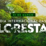 Dia Internacional das Florestas destaca a importância dos recursos florestais para a alimentação e o planeta florestas