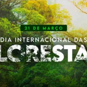 Dia Internacional das Florestas destaca a importância dos recursos florestais para a alimentação e o planeta florestas