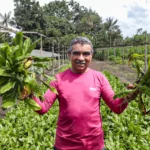 Agricultores familiares do Pará se preparam para abastecer a COP 30 com produtos locais agricultura