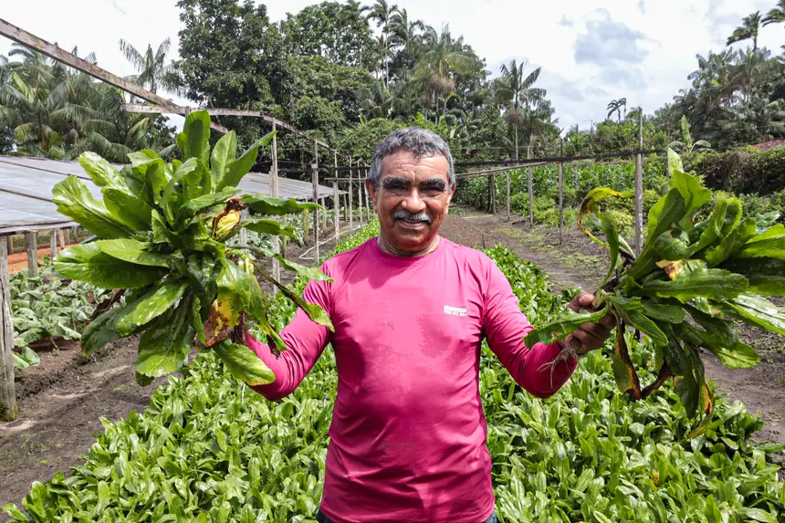 Agricultores familiares do Pará se preparam para abastecer a COP 30 com produtos locais 4 agricultura