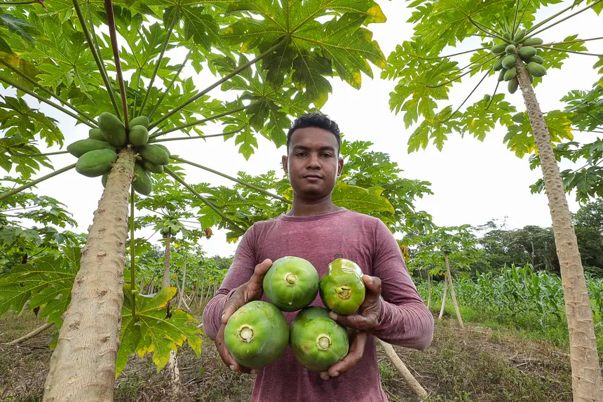 20250228152903-GF00023132-F00382175 Agricultores familiares do Pará se preparam para abastecer a COP 30 com produtos locais