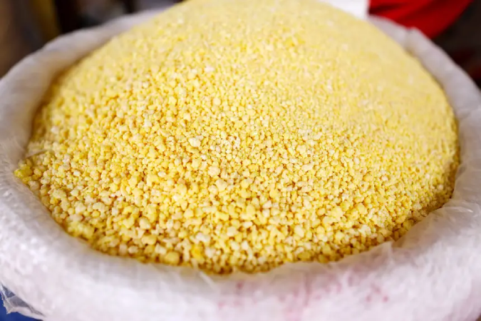 20250320084627-GC00065478-F00228621 Investimentos na agricultura paraense impulsionam crescimento sustentável e projeção internacional