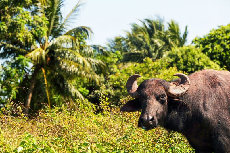 20450 1f438896 64cc d4e8 9c42 f7c56286f69f