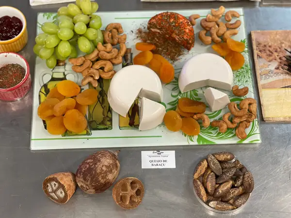 250305_Hamburguer-babacu-6 Coco babaçu vira base para hambúrguer nutritivo e sustentável