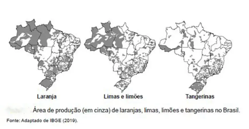 250318_MigracaoCitros_Lea_Cunha_area_citros Doença redefine o mapa da citricultura no Brasil, impulsionando migração de plantios com apoio da ciência