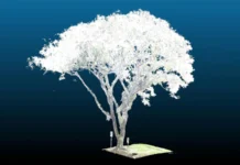 Tecnologia USP promete reduzir quedas de árvores urbanas com poda inteligente USP