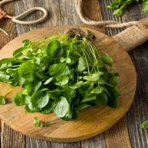 8 benefícios do agrião e 4 formas de consumo mais tradicionais 8 benefícios do agrião e 4 formas de consumo mais tradicionais