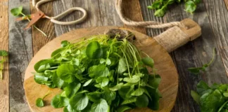 8 benefícios do agrião e 4 formas de consumo mais tradicionais