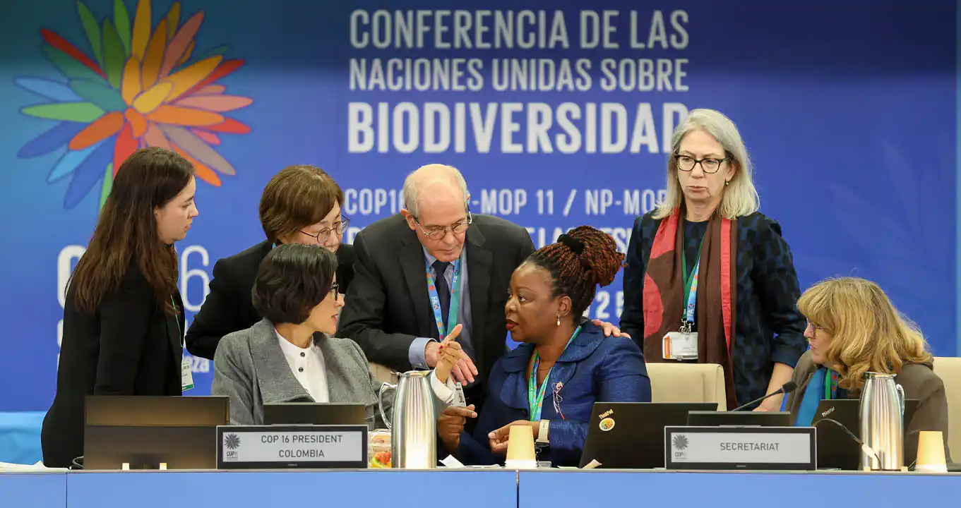 A_Presid_ncia_e_o_Secretariado_em_consulta Retomada da CDB COP 16 da ONU sobre Biodiversidade