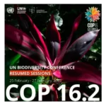 Retomada da CDB COP 16 da ONU sobre Biodiversidade