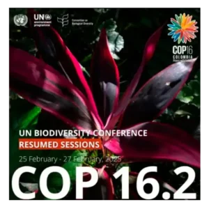 Retomada da CDB COP 16 da ONU sobre Biodiversidade