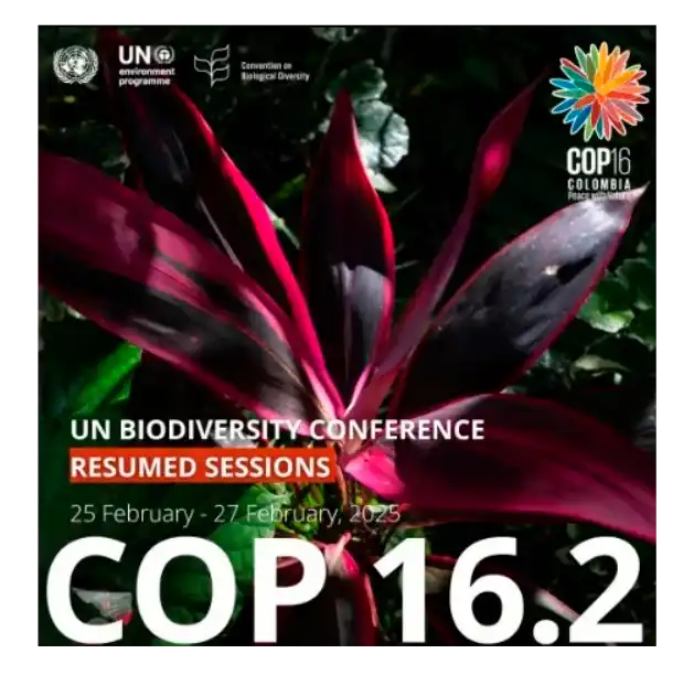 Retomada da CDB COP 16 da ONU sobre Biodiversidade 6 A Retomada SEM LEGENDA