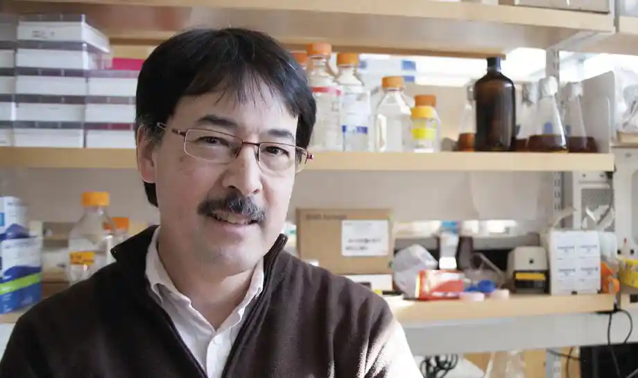 O que acontece com uma árvore que morre em uma floresta 3 Celulose e lignina em particular são inovações evolucionárias incríveis, diz o micologista David Hibbett da Clark University em Massachusetts