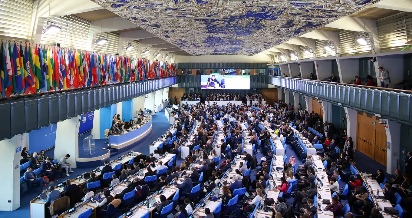 Durante_a_sess_o_plen_ria_de_abertura_da_retomada_da_COP_16-1 Retomada da CDB COP 16 da ONU sobre Biodiversidade