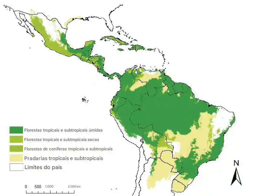 Florestas tropicais nas Américas estão lutando para acompanhar as mudanças climáticas 1 Florestas tropicais e savanas nas Américas